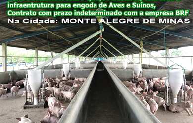 Imagem: A fazenda possui 15000m² de Área e está localizado em Luizote