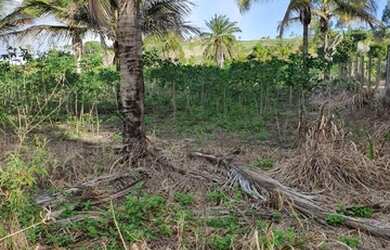 Imagem 4: Terreno para Venda em Porto Seguro, Trancoso