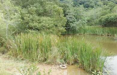 Imagem: O terreno possui 8.196m² de Área e está localizado em Aeroporto