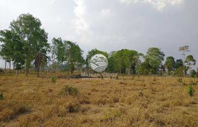 Imagem: A fazenda possui 1060000m² de Área e está localizado em Cujubim