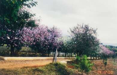 Imagem: O terreno possui 86.000m² de Área e está localizado em Zona