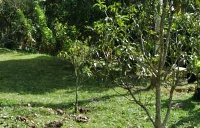 Imagem: A fazenda possui 8.500m² de Área e está localizado em Quatinga