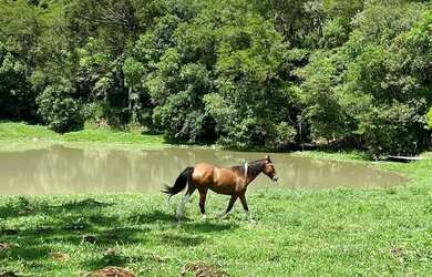 Imagem 2: Imóvel Rural/Terreno Rural
