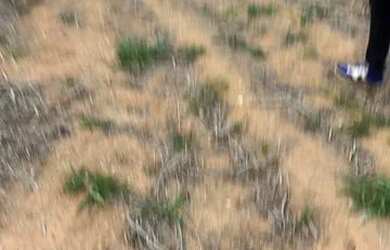 Imagem 4: Lote/Terreno para venda com 500 metros quadrados em Usina - Atibaia - SP