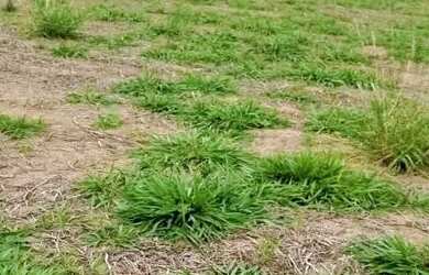 Imagem 14: 03a-11IGDU0. 500m² de Área