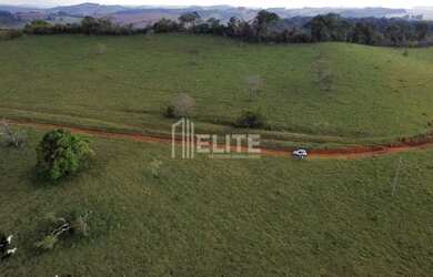 Imagem 6: 300 Hectares à Venda em Área de Plantio