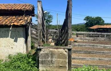 Imagem 5: fazenda - Centro - Montes Claros