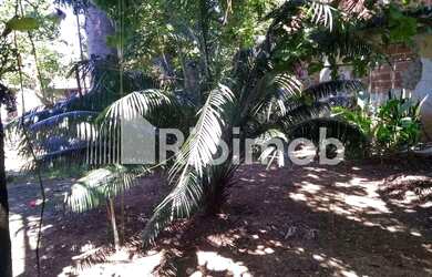 Imagem 13: Jardim Anhangá Casa 3 quartos