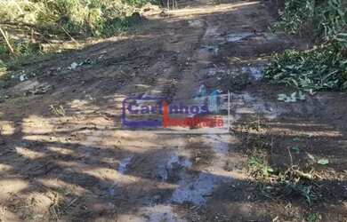 Imagem 6: VOCÊ E UM CAMPO INTEIRO DE POSSIBILIDADES - Fazendinhas 20.000 m² em...