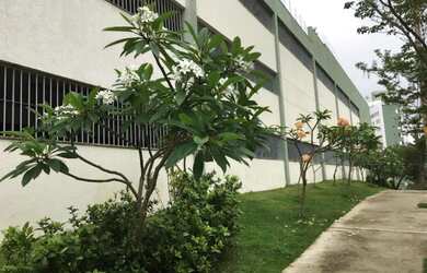 Imagem 6: apartamento área privativa com spa