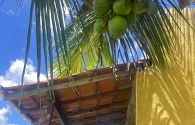 Imagem 11: Casa pequena com vista deslumbrante da lagoa de Guaratiba