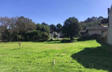 Imagem 4: Terreno no Bairro São Luiz em Caxias do Sul
