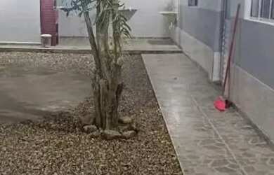 Imagem 2: Alugo Caraguatatuba Bairro Porto novo