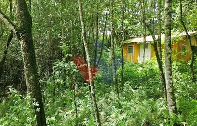 Imagem: A fazenda possui 11000m² de Área e está localizado em São