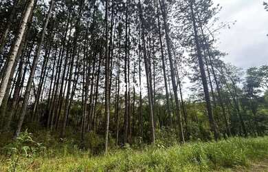 Imagem: O terreno possui 63827m² de Área e está localizado em Agudos