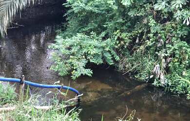 Imagem 3: FAZENDA A VENDA. 