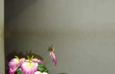 Imagem: A casa possui 3 Dormitórios, 2 Banheiros, 2 Vagas na garagem