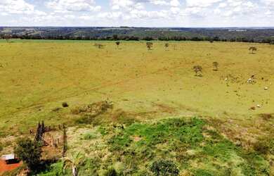 Imagem 4: Terra de cultura. 