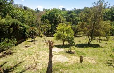 Imagem 15: MARAVILHOSA CHÁCARA MORADIA OU LAZER PARA VOCE E TODA SUA FAMILIA