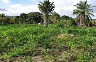Imagem 11: Terreno para Venda em Porto Seguro, Trancoso