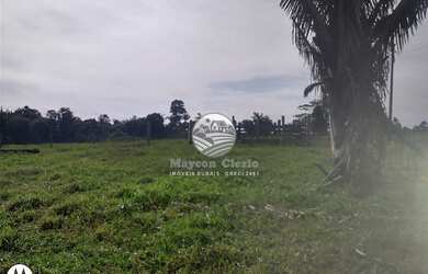 Imagem: Machadinho D x27 Oeste - Chácara - 8 Alqueires