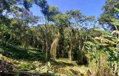 Imagem 2: Terreno para venda com 787 metros quadrados nas Braunes