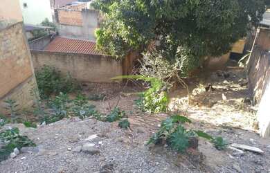 Imagem 3: Lote Milionários. 202m² de Área