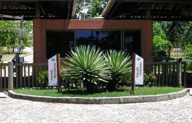 Imagem: O terreno possui 1.000m² de Área e está localizado em Busca