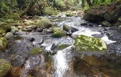 Imagem: O terreno possui 60.000m² de Área e está localizado em Cachoeiras