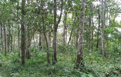 Imagem: A chácara possui 5.000m² de Área e está localizado em Juquitiba