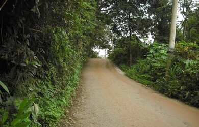 Imagem 3: Rural de 125000 metros quadrados no bairro Jardim Santo Antônio