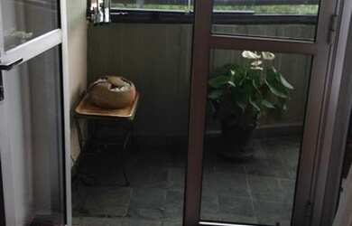 Imagem: O apartamento possui 3 Dormitórios, 1 Banheiro, 2 Vagas na