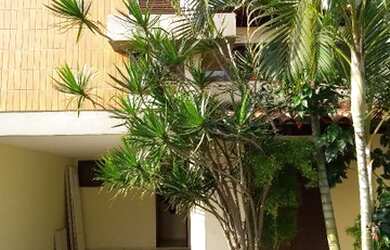 Imagem 11: Cabo Frio/Braga - Linda casa duplex, 3 qtos no melhor ponto