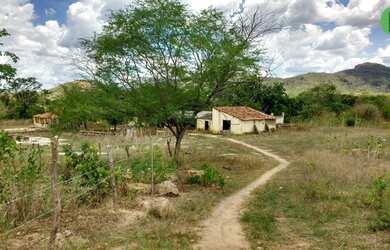 Imagem 8: Fazenda de 147 hectares a 105 km de Fortaleza, toda estruturada para agricultura e pecuári