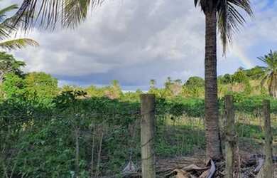 Imagem 2: Terreno para Venda em Porto Seguro, Trancoso