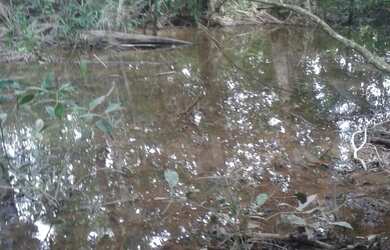 Imagem: A chácara possui 44.000m² de Área e está localizado em