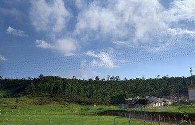 Imagem 5: Terreno plano à venda, 140 m² - Jardim Santa Júlia - São José dos...