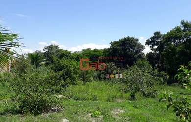 Imagem 7: Terreno à venda, 23000 m² por R$ 400.000 - Rua do Fogo - São Pedro...