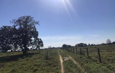 Imagem 16: TITULO VENDO FAZENDA PECUARIA NO VALE DO ARAGUAIA 6130