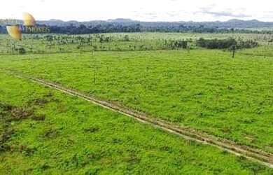 Imagem 2: Fazenda no Pará à venda, 102000000 m² por R$ 150.000.000 - Zona Rural...