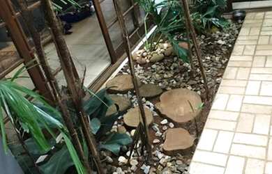 Imagem 14: Casa locação no Morumbi