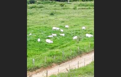 Imagem: A fazenda possui 961.650m² de Área e está localizado em