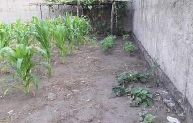 Imagem 4: Terreno à venda, 150 m² por R$ 150.000,00 - Conjunto Residencial Galo...