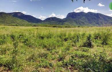 Imagem 6: Fazenda de 147 hectares a 105 km de Fortaleza, toda estruturada para agricultura e pecuári