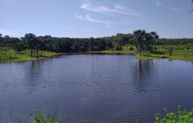 Imagem: A fazenda está localizado em Recursolândia, TO à venda por
