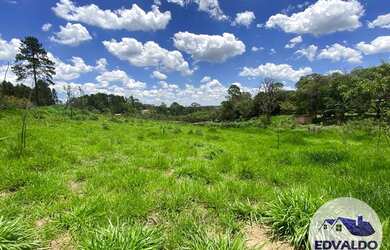 Imagem 16: Terrenos 1000mtrs para chácara em Ibiúna