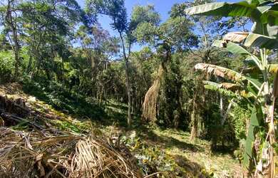 Imagem 3: Terreno para venda com 787 metros quadrados nas Braunes