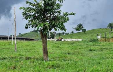 Imagem: A fazenda possui 1.887.000m² de Área e está localizado em