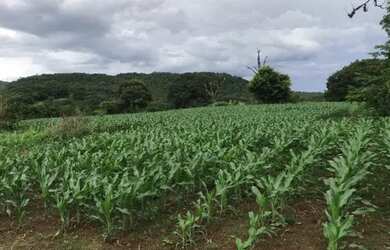 Imagem 3: Fazendas.Tem. 