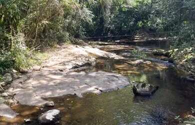Imagem 1: Terrenos 20.000 m² - Santa Lucia do Piaí - Caxias do Sul